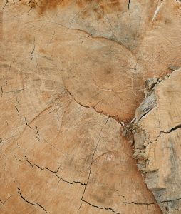 madera de mango